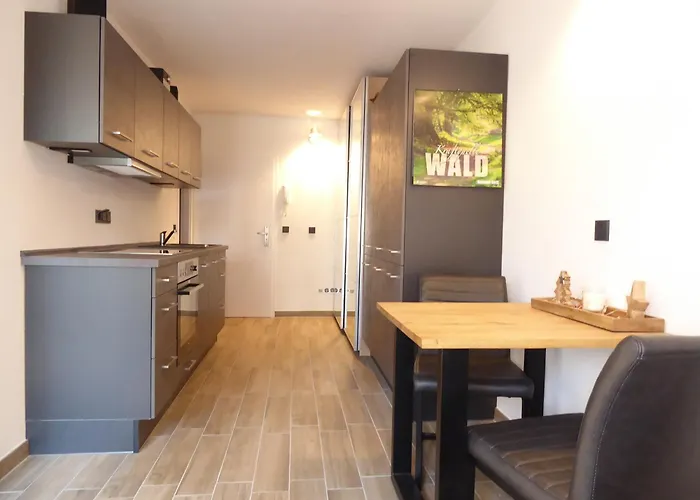 Apartment Winterberg Sunshine Pool Sauna Terrasse